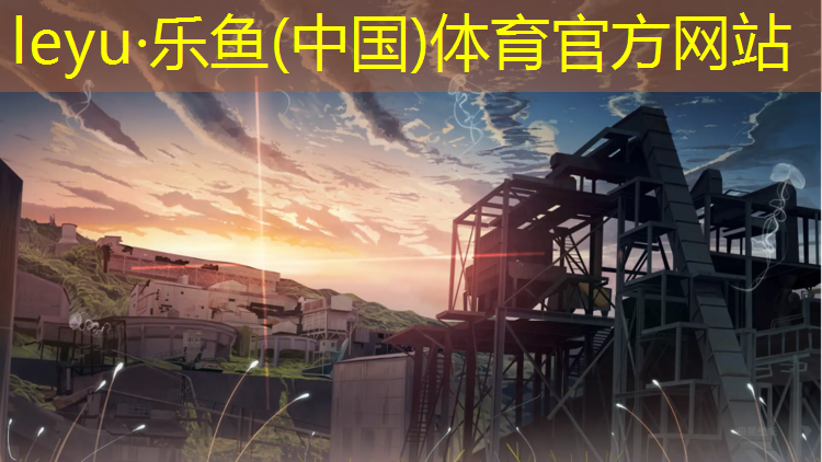 乐鱼体育,揽月桥塑胶跑道